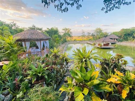 Argamosa Farm, Urdaneta Reviews .
